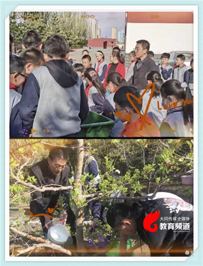 足球胜平负猜主队吗,足球胜平负计算器 竞彩网