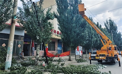 工人修剪绿植消除安全隐患